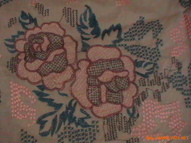 Embroidered Dress Fabric