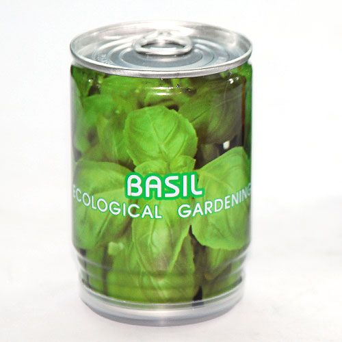 Basil