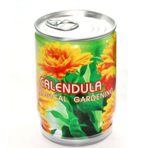 Calendula