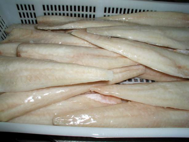 frozen cod fish/pollock fillets