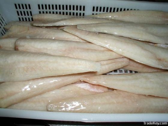 Frozen pollock fillet