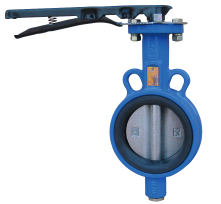 butterfly valve