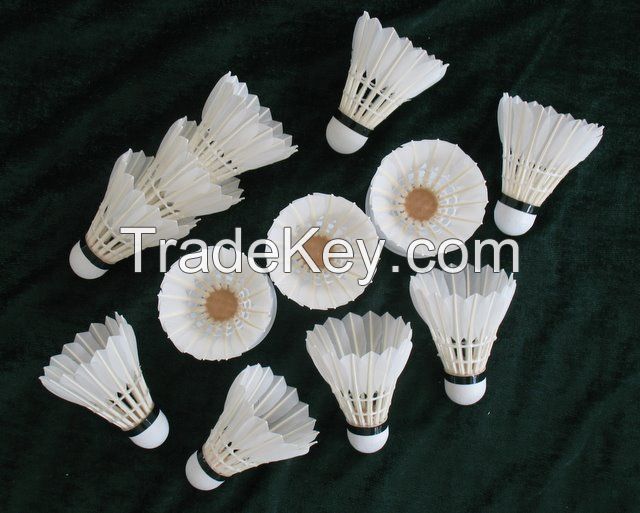 shuttlecocks factory supply feather shuttlecocks of DAYI-xunlian grade shuttlecocks