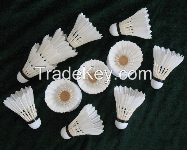 supply feather shuttlecocks badminton of DAYI-xuanshou grade feather shuttlecocks