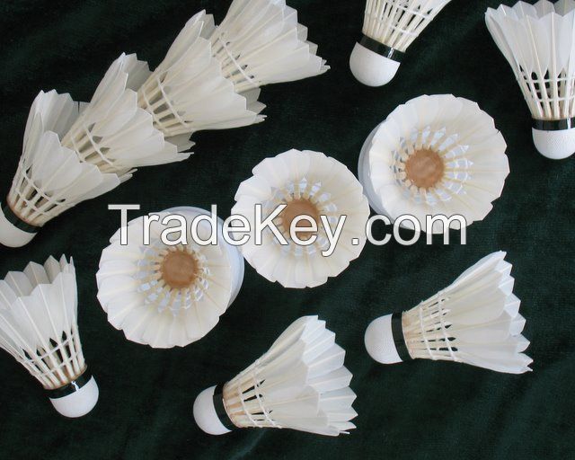 Dayi-shiyong Grade Shuttlecock Feather Badminton