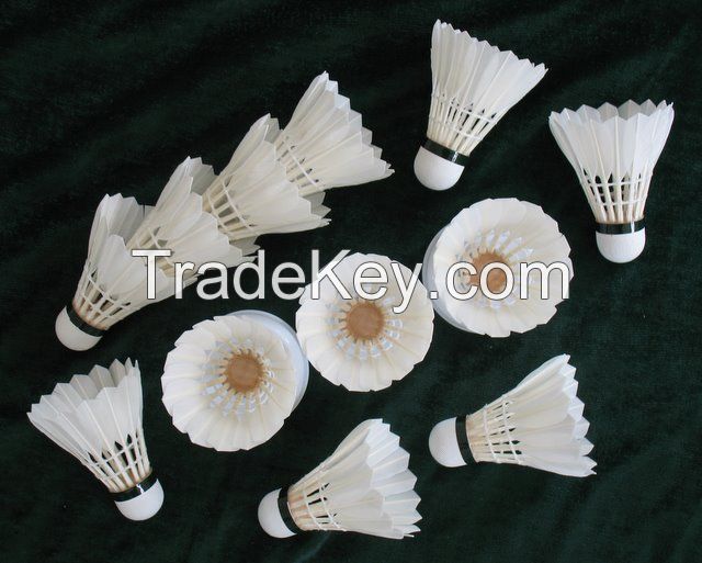 Dayi-shiyong Grade Shuttlecock Feather Badminton