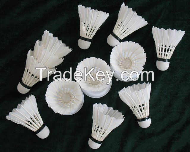 badminton factory supply feather shuttlecocks of DAYI-gongyu grade badminton shuttlecocks