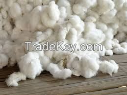 RAW COTTON