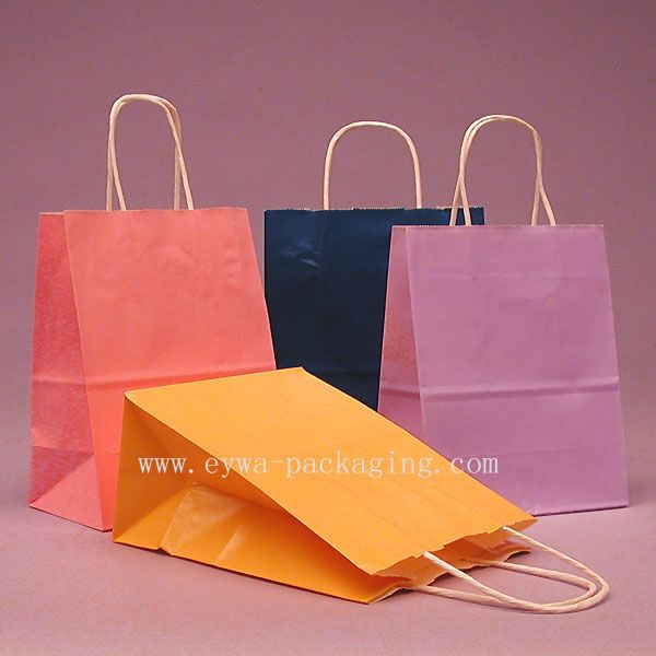 Kraft Paper Bag with Twisted Handle