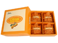 Citrus Soap