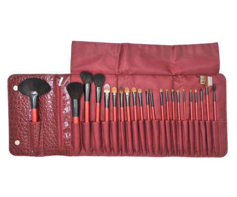22PCS Professional Makeup Brush Set, Cosmetic Brush Kit