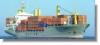 Ocean freight Ex-ShenZhen to Africa  ports