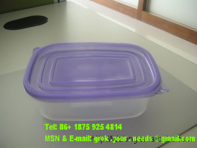 Disposable Container