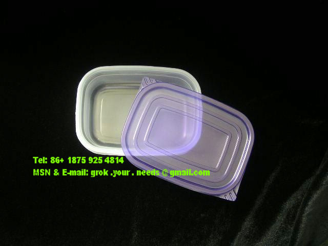 Plastic Box06