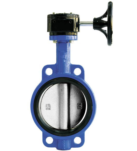 pin-less center line butterfly valve