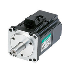 LS servo motor