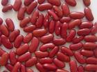 Dark Red Kidney Beans