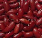 small red kidney beans