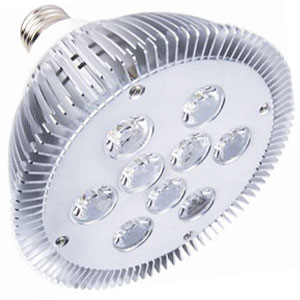 PAR38 LED Lamp(9x2W)