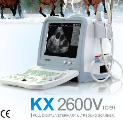 KX2600(09)Vet portable ultrasound scanner (veterinary/ human )