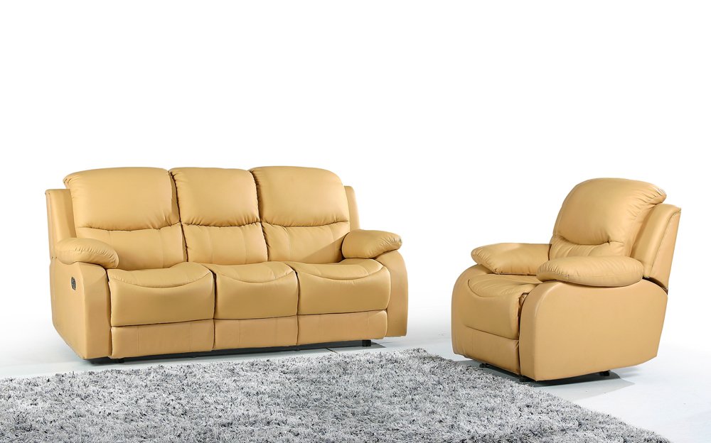 leather sofa (B521)