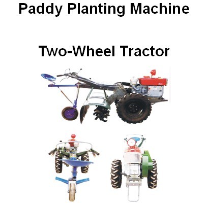 sell Paddy Planting Machine