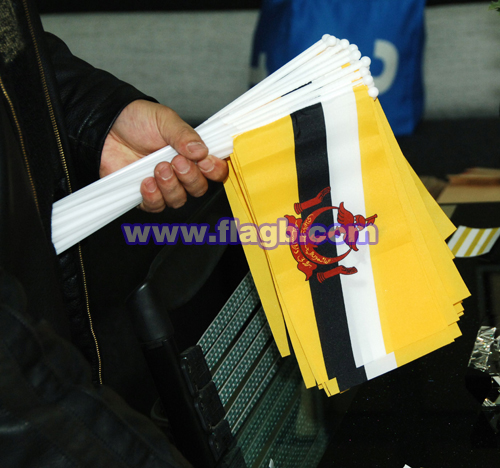 car windows flag, advertising banners,