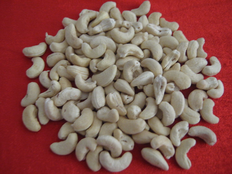 Cheap Cashew Nut | Wholesale Cashew Nut | Discounted Cashew Nut | Bulk Cashew Nut | Cashew Nut Suppliers | Cashew Nut Exporters | Cashew Nut Manufacturers | Cashew Nut Buyer | Import Cashew Nut