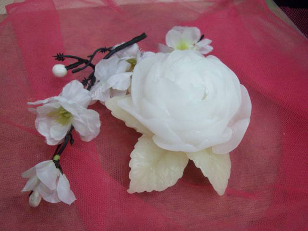 Elegant flower with leaf