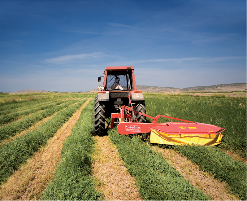 Rotary Drum Mower