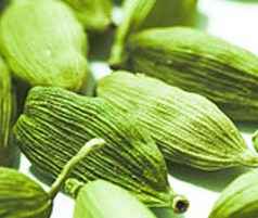 Cardamom