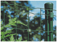 Garden Fence