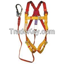 Full body harness/safety goggle