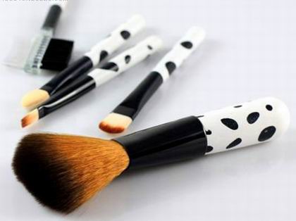 5pcs makeup brush set