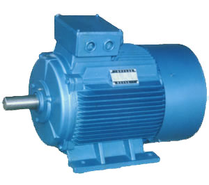 Y2 series (IP54) three-phase AC induction pump motors