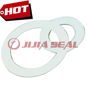 PTFE Gasket