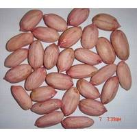 Peanut Kernels 28/32