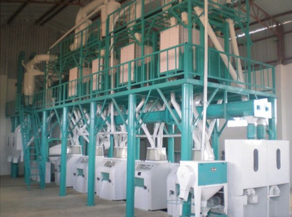 Wheat Flour Milling Plant