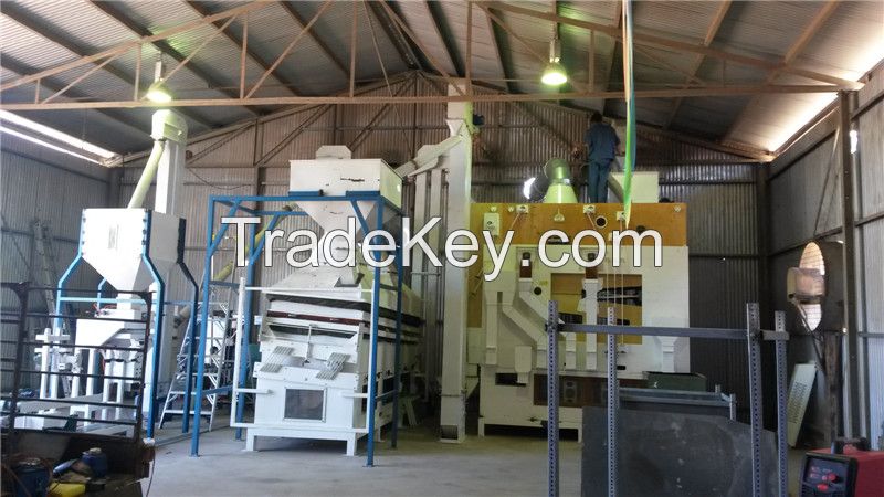 Oat, Barley Seed Cleaning Plant