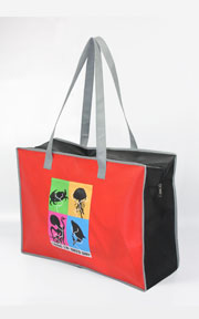 Non Woven Bag