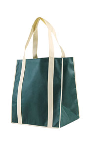 Non Woven Bag