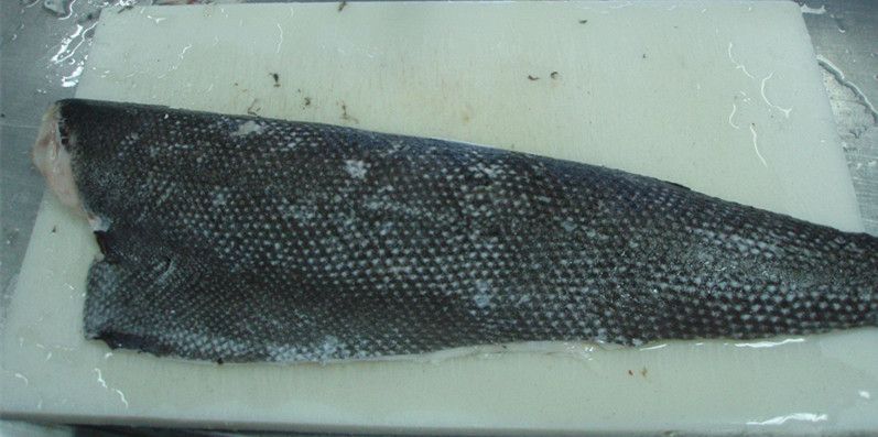 Frozen Oil Fish Fillet (Ruvettus pretiosus)
