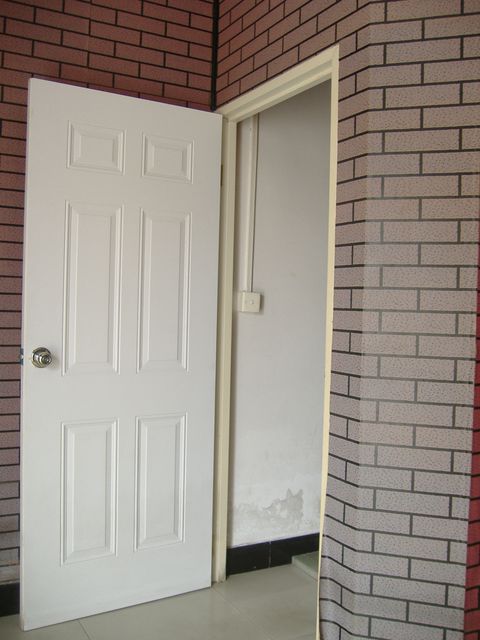 panel steel door