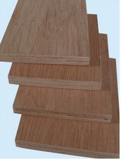 Okoume, Bingtangor, Birch, ***** face plywood