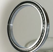 SL18 Series Single-row Full Complement Cylindrical Roller Bearings