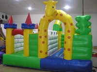 inflatable castle, inflatable combo