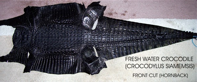 Fresh water crocodile leather