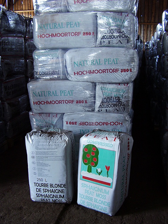 Peat moss substratum