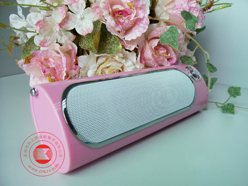 portable usb mini speaker with FM Radio