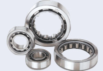 cylindrical roller bearing